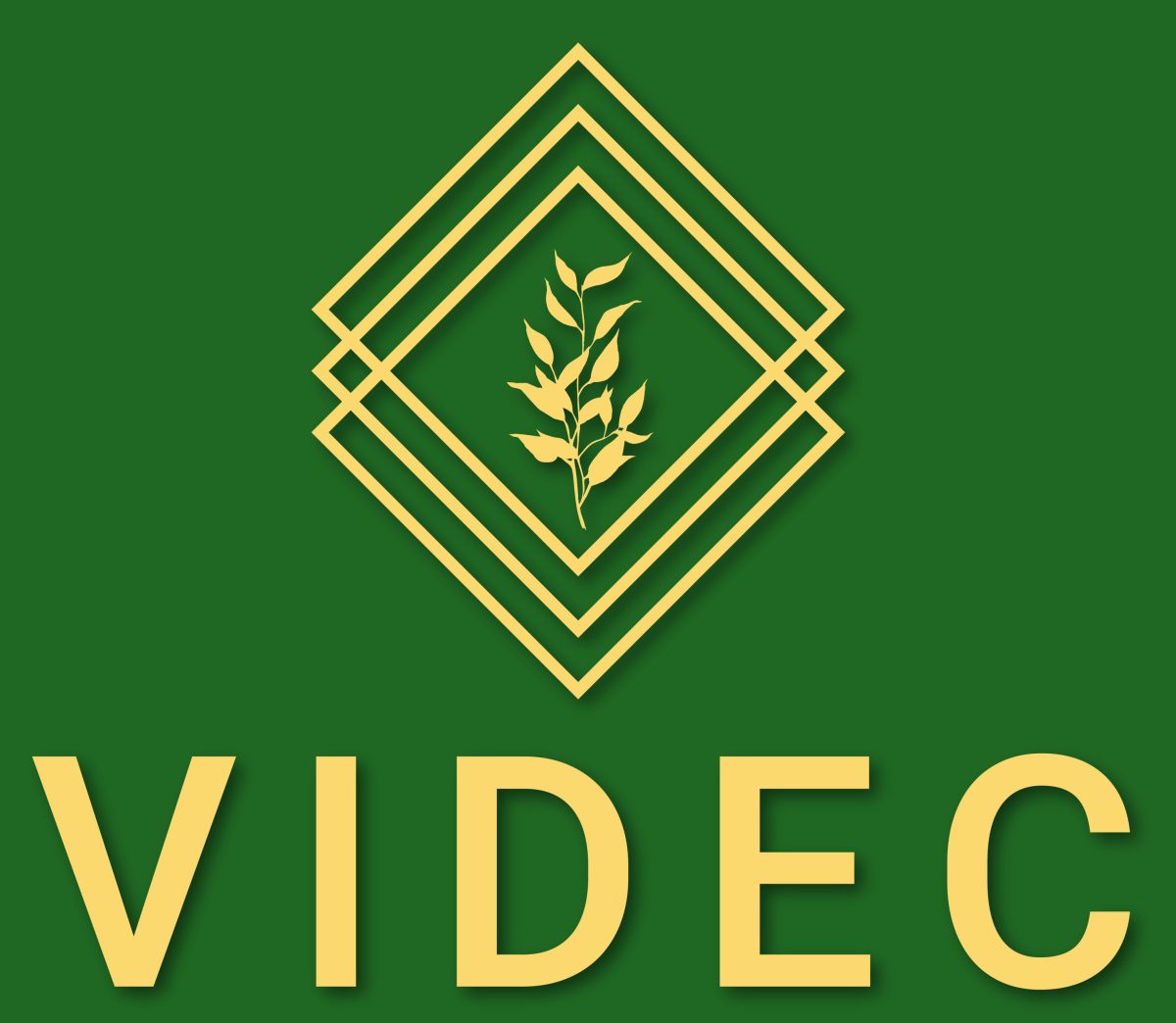 VIDEC